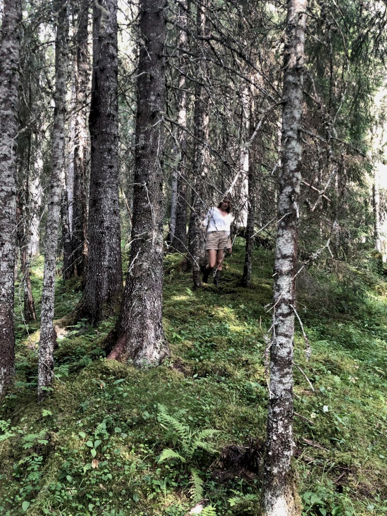 Alma i skogen i Nittedal
